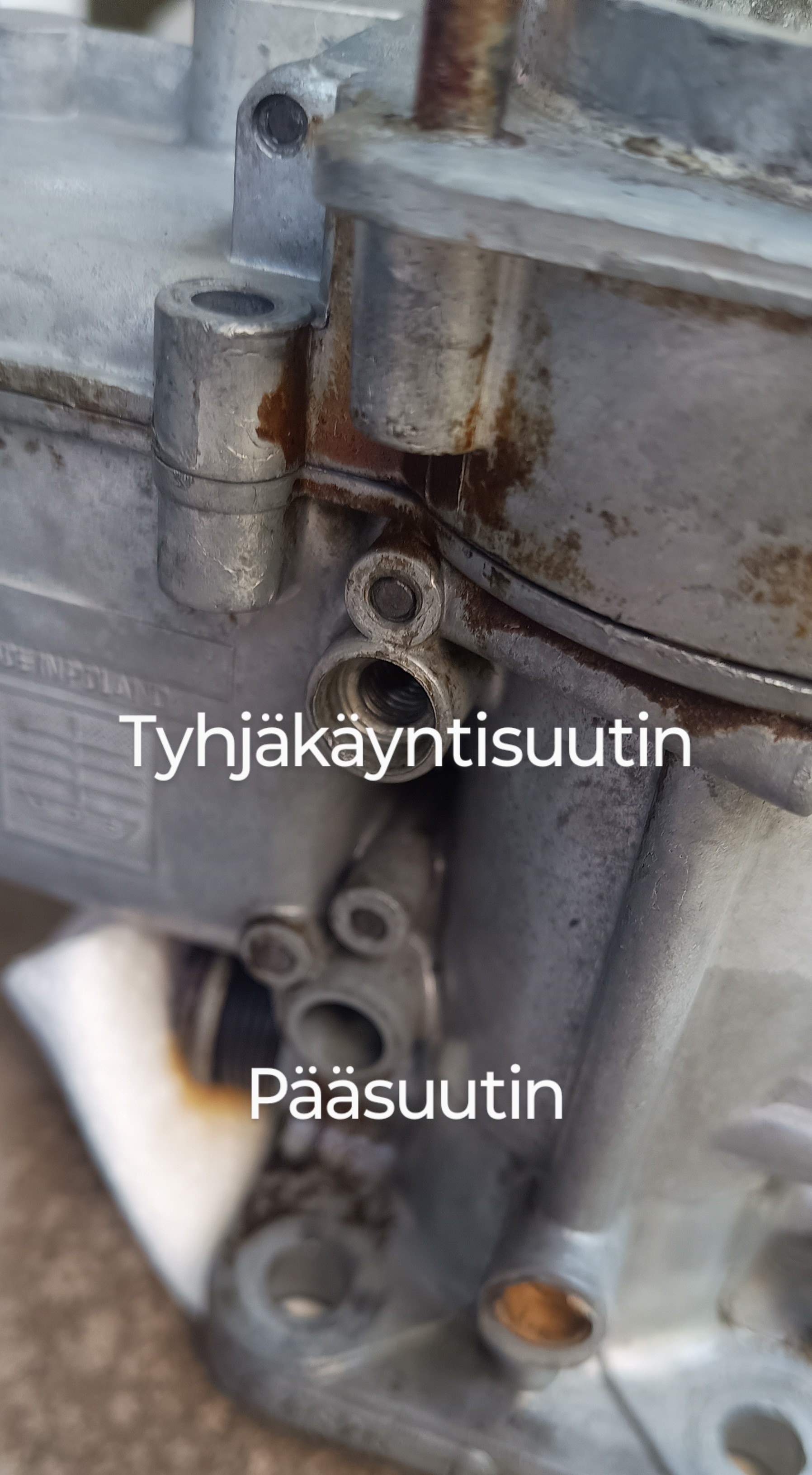 Runko (toisiokurkun puoli)
